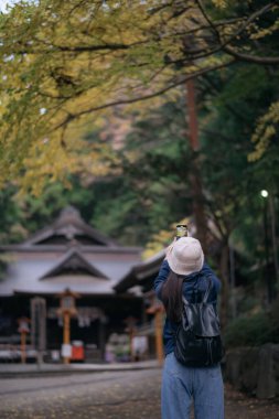 Asyalı kadın, Tokyo ve Kyoto 'da gülümseme, maneviyat ve doğanın güzelliği ile dolu bir bayramın tadını çıkararak Japon tapınaklarını ve tapınaklarını keşfediyor..