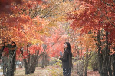 Güneydoğu Asyalı kadın, doğal güzelliklerle dolu sakin açık hava ortamında kırmızı ve turuncu yapraklı canlı sonbahar ağaçlarıyla çevrili huzurlu bir anın tadını çıkarıyor.