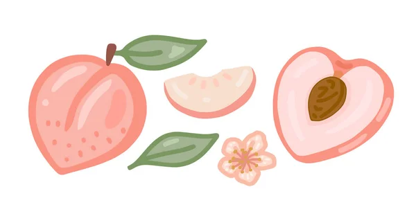 一组关于桃子主题的插图 白人背景 — 图库矢量图片