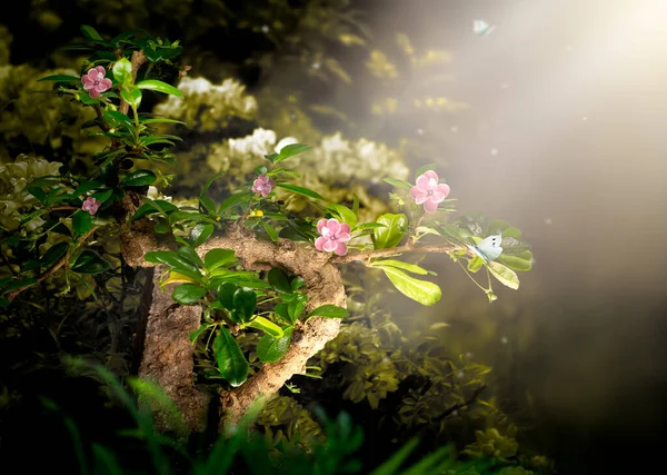 Fantasía Bonsai Carmona Árbol Que Crece Bosque Elfos Mágicos Volando —  Fotos de Stock