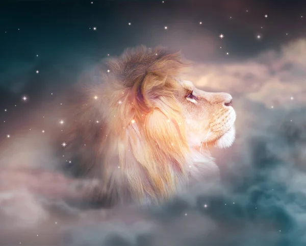 非洲狮子在夜间仰望群星 在深沉的星空背景上 在黑暗的戏剧性深沉的星空背景上 抽象地描绘着雄伟的动物之王的梦幻般的画像 这是令人自豪的幻想 — 图库照片