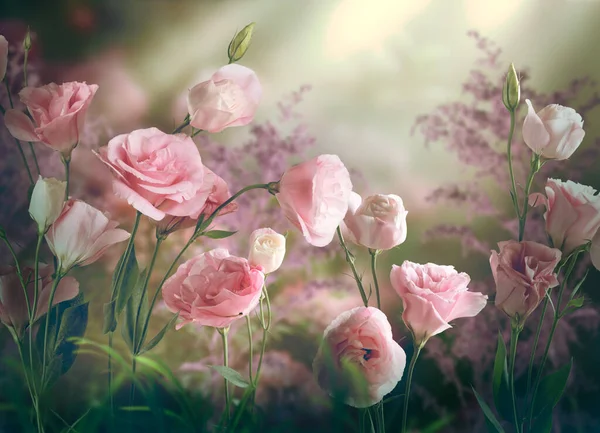 幻想的な花々幻想的なおとぎ話の夢の庭では 魅惑的なおとぎ話の花々が咲きます輝く光線で神秘的な花の背景に魔法の夜の夕暮れの柔らかいバラ — ストック写真