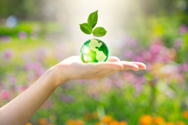 Earth Day or World Environment Day, environmentally friendly concept. Save our Planet, restore and protect Green Nature, sustainable lifestyle and Climate literacy theme. Leaf grows on globe in hand.