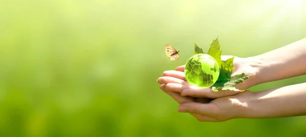 地球日或世界环境日 环境友好的概念 拯救我们的地球 恢复和保护绿色自然 可持续的生活方式和气候素养主题 花瓣和蝴蝶手握 — 图库照片