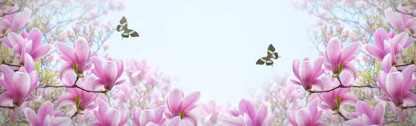 春绿仙话般的花园中绽放着芬芳的粉色花瓣 在神秘的花朵阳光的背景下 空中飘扬着两只蝴蝶 美丽的自然公园景观横幅 免版税图库照片