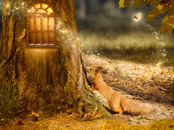 Sciurus Vulgaris 在幻想房子附近的松树树下 窗户闪闪发光 童话森林中的魔法幻影 童话般的森林中可爱的动物和蝴蝶 神秘的自然背景 图库图片