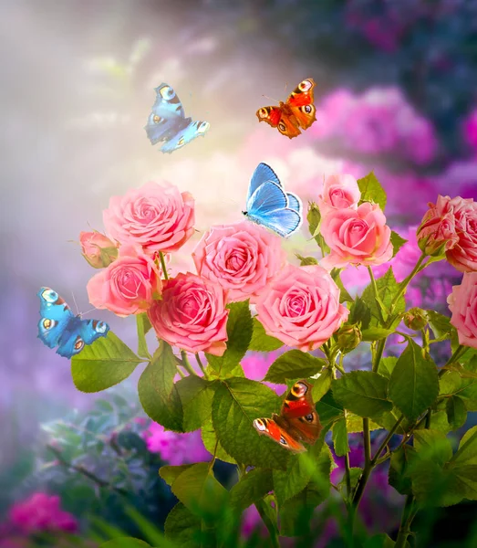 幻想的なピンクのバラの花は魅惑的な妖精のおとぎ話の夢のような庭で育ちます 蝶および神秘的な花の背景 神秘的な性質の魔法の光で素晴らしいおとぎ話の開花の柔らかい植物 ロイヤリティフリーのストック画像