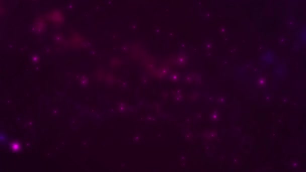 色はピンク紫色のデジタル粒子 概要ボケ効果を持つ未来的な背景キラキラ粒子 — ストック動画