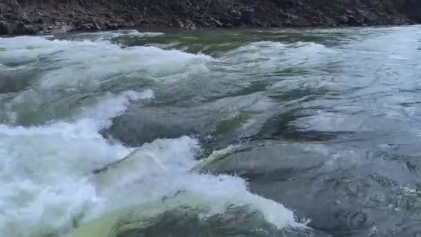 一条清澈的溪流流过山中的石碑 一条丰饶的河流沿着岩石的底部流淌 夏天的日子里 一条高山上的大河在流水中奔流 — 图库视频影像