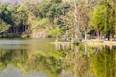 Central Catchment nature reserve ,Reservoir Park landscape clipart