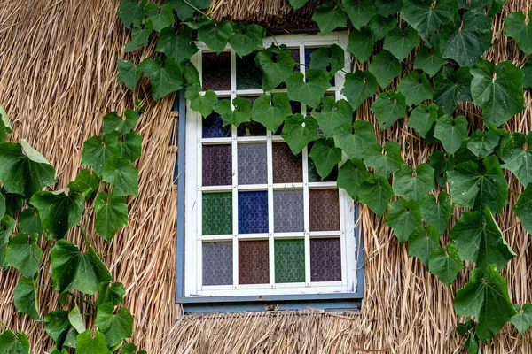 Starý Skleněný Rám Okna Zelený List — Stock fotografie