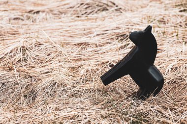 Siyah otların arasında el yapımı bir siyah at figürü güç ve azimle ilişkilendirilir. İktidarın artması için mükemmel bir ilaç reklamı.