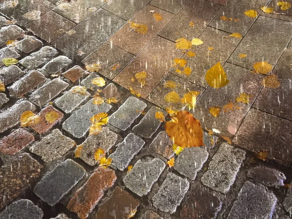 Φύλλα Φθινοπώρου Υγρό Οδόστρωμα Και Άσφαλτο Κάτω Από Βροχή Σταγόνες — Φωτογραφία Αρχείου