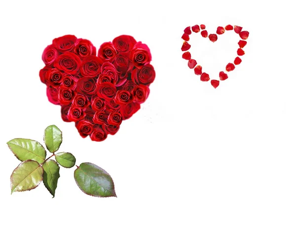 Röda Rosor Festlig Glad Kvinna Dag Och Alla Hjärtans Dag — Stockfoto