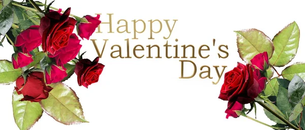 Червоні Троянди Святкові Щаслива Жінка День День Святого Валентина Шаблон — стокове фото