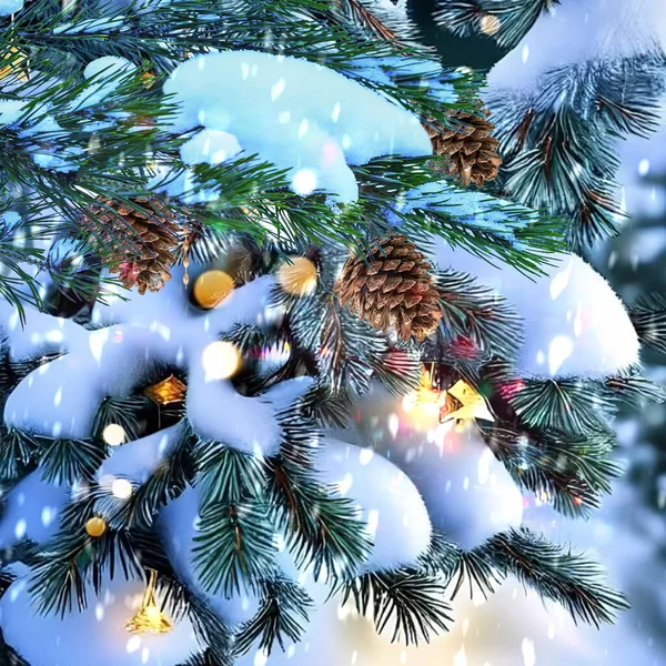 Ramo Árvore Natal Coberto Por Neve Iluminação Festiva Luz Bola — Fotografia de Stock