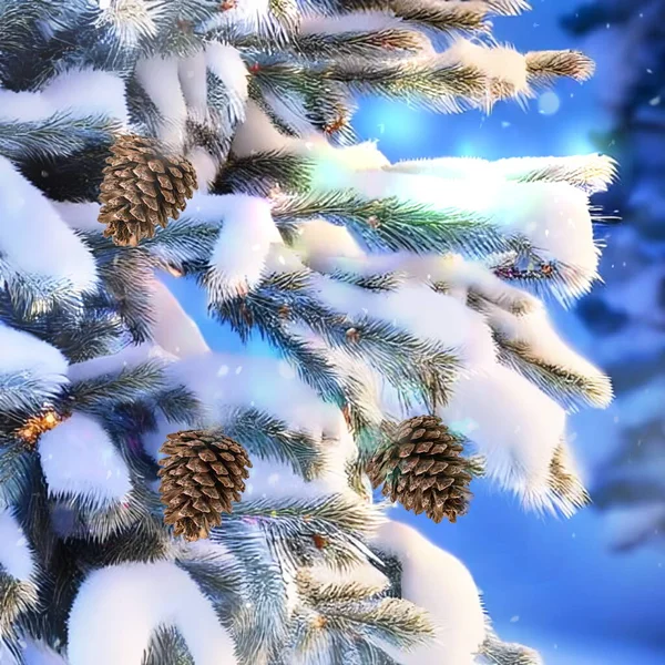 Χριστουγεννιάτικο Δέντρο Υποκατάστημα Που Καλύπτεται Από Χιόνι Και Εορταστικό Φωτισμό — Φωτογραφία Αρχείου