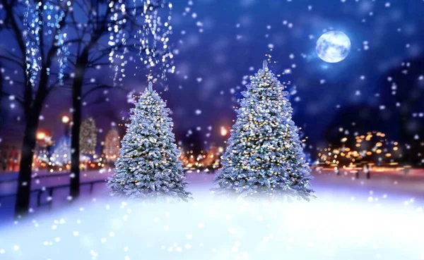 Χειμερινή Πόλη Χριστουγεννιάτικο Δέντρο Στο Πάρκο Της Πόλης Βράδυ Θολή — Φωτογραφία Αρχείου
