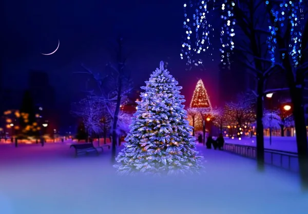 冬の街 夜の街公園のクリスマスツリー 青い夜空のぼんやりとしたボケ光と月 — ストック写真