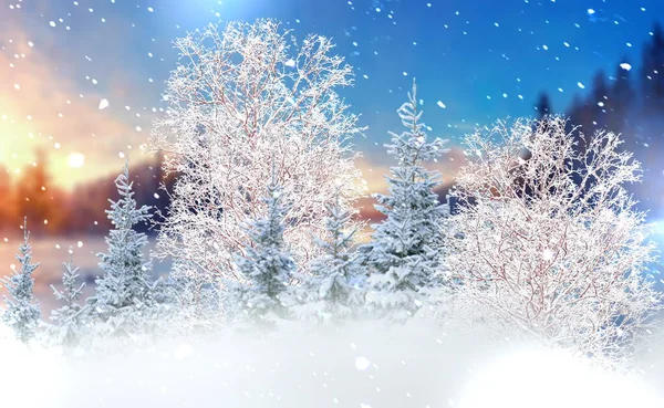 Zimní Krajina Modrá Obloha Sníh Podzim Lesní Stromy Pokryté Sněhem — Stock fotografie