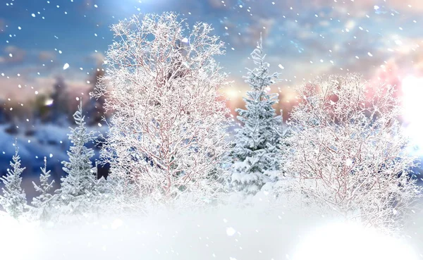 Kış Manzarası Mavi Gökyüzü Kar Yağıyor Orman Ağaçları Karla Kaplı — Stok fotoğraf