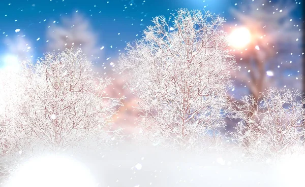 Ormanda Kış Günü Karlı Ağaçlar Karla Kaplı Mavi Gökyüzü Manzarası — Stok fotoğraf