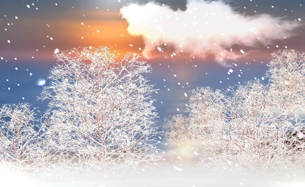 Kış Ormanı Ağaçları Karlı Kırsal Köy Manzarasıyla Kaplıdır — Stok fotoğraf