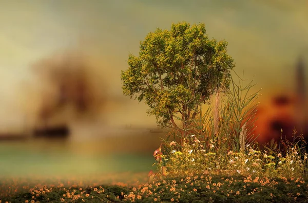 Закат Неба Луч Солнца Дикие Цветы Деревья Горы Море Отражение — стоковое фото