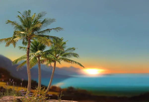 Mavi Denizde Tropikal Turuncu Günbatımı Vahşi Ağaçlar Çiçekler Güzel Doğa — Stok fotoğraf