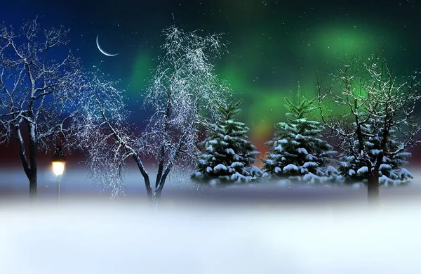 winter forest ,city  park trees covered by snow northern light ,sunset light on starry night sky and moon