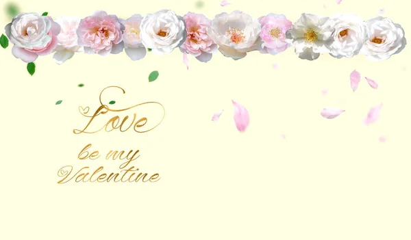 Valentinstag Frau Tag Grußkarte Rosen Weiß Rosa Rot Und Blütenblatt — Stockfoto