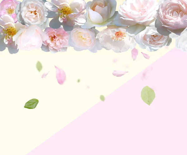 玫瑰花束节日背景金色元素模板问候卡片横幅情人节祝福和妇女日 — 图库照片