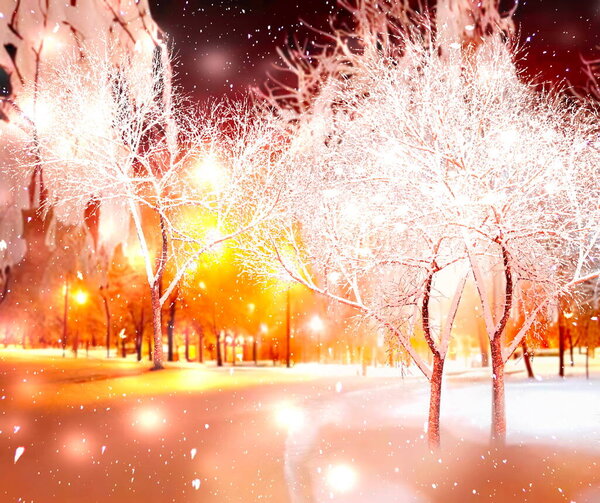 Winter evening in city park,trees covered by snow ,street lamp blurred light