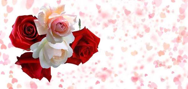 Valentine Day Roses Bouquet Festive Background Gold Elements Template Greetings — 스톡 사진