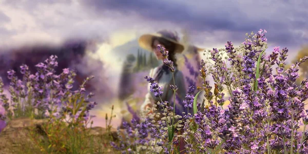 wild flowers  lavender  field on horizon romantic young people  walk , cloudy sky nature landscape  impressionism art  paint