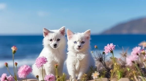 cat and dog,charming funny cute small fluffy puppy and british kitten with blue eyes sit play on sea water, sea water splash with sun light reflection,wild beach with wild flowers hip rose sun reflection on sea water water wave ,sunset summer