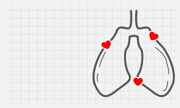 Sağlıklı Akciğerler Ciğerlerin Dış Hatları Kalbinle Aşk Sembolü Ile Betimlenmiş — Stok Vektör