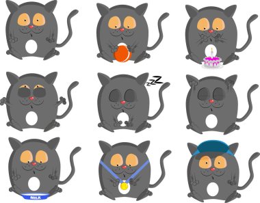 Gri kedi farklı pozlar veriyor. Bu yavru kedi. Vektör illüstrasyonu