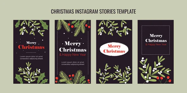 Weihnachtliche Instagram Geschichten Setzen Tannenzweige Weihnachtsbeeren Und Misteln Handgezeichnetem Stil — Stockvektor