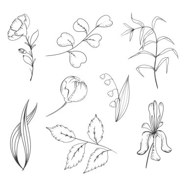 Vadideki zambaklarla süslenmiş çiçek ve yaprakları elle çizilmiş dallar. Vektör illüstrasyonu