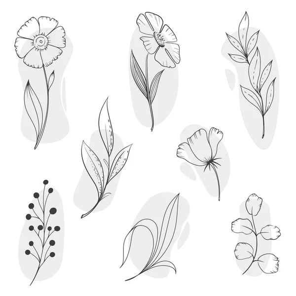 Zestaw Kwiatów Ręcznie Rysowane Stylu Ilustracja Wektora — Wektor stockowy