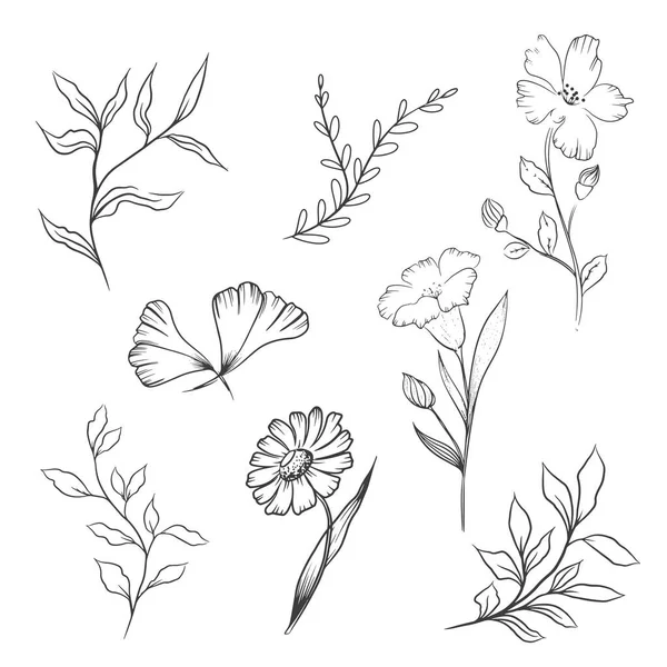Wybór Kwiatów Technice Rysowania Ręcznego Ilustracja Wektora — Wektor stockowy