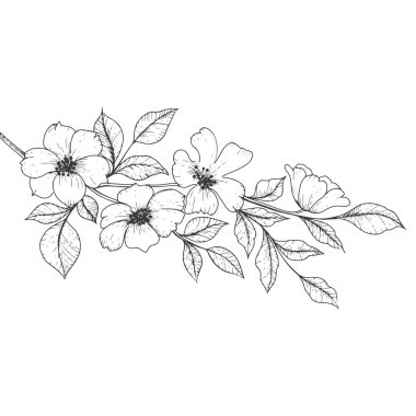 Çiçekler el çizimi tekniğinde. Vektör illüstrasyonu