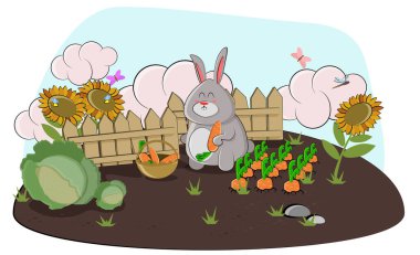 Tavşan bahçede havuç topluyor ve sepete koyuyor. Vektör illüstrasyonu