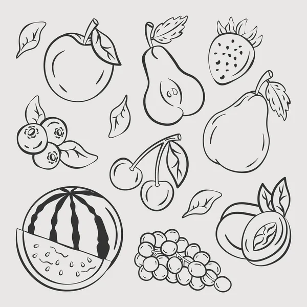 Illustration Tirée Fruits Vecteur Abricot Poire Pomme Pastèque Illustration Vectorielle — Image vectorielle