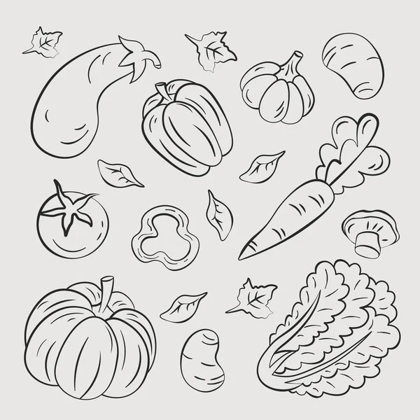 Légumes Illustrations Dessinées Main Vecteur Carotte Chou Citrouille Illustration Vectorielle — Image vectorielle