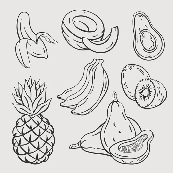 Fruits Tropicaux Dessin Main Vecteur Croquis Illustration Vectorielle — Image vectorielle