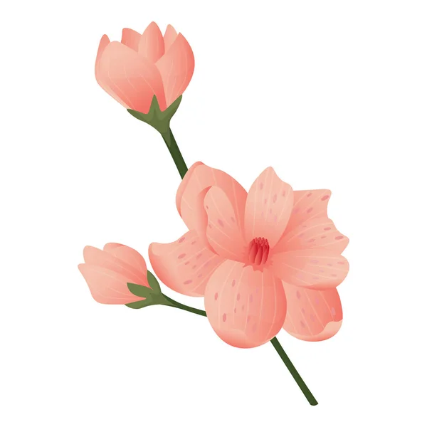 Image Beautiful Branch Pink Sakura Vector Illustration — Stock Vector
