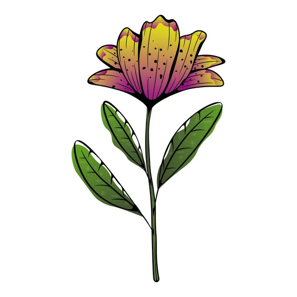 Vektorbild Einer Abstrakten Amaryllis Blume Vektorillustration — Stockvektor