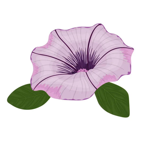 Vektorbild Einer Rosa Petunienblüte Vektorillustration — Stockvektor